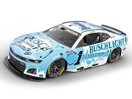 ROSS CHASTAIN 2025 BUSCH LIGHT COUNTRY 1:24 ARC DIECAST